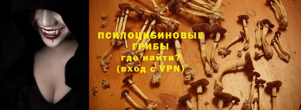 марки lsd Белокуриха