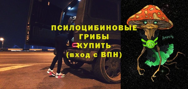 марки lsd Белокуриха