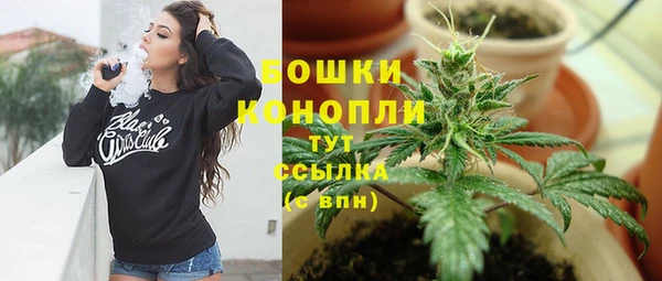 марки lsd Белокуриха